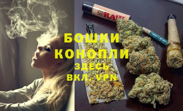 сатива Балабаново