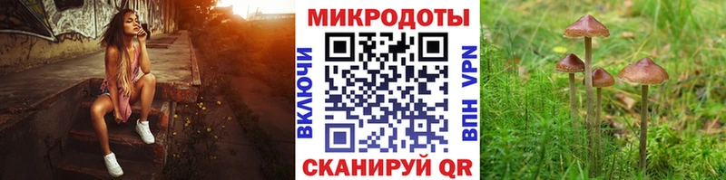 Псилоцибиновые грибы Cubensis  Купить где  Гаджиево 